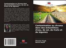 Contamination au chrome dans des échantillons d'eau, de sol, de fruits et de légumes kitap kapağı