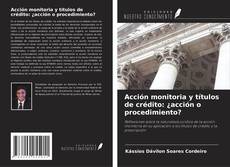 Buchcover von Acción monitoria y títulos de crédito: ¿acción o procedimiento?