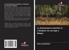 Buchcover von La dominazione maschile in L'Ampleur du saccage e Bilqiss