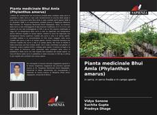 Borítókép a  Pianta medicinale Bhui Amla (Phylanthus amarus) - hoz