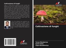 Buchcover von Coltivazione di funghi