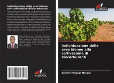 Buchcover von Individuazione delle aree idonee alla coltivazione di biocarburanti