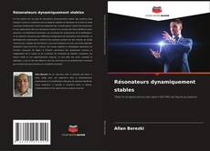 Couverture de Résonateurs dynamiquement stables