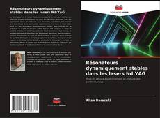 Copertina di Résonateurs dynamiquement stables dans les lasers Nd:YAG