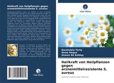 Bookcover of Heilkraft von Heilpflanzen gegen arzneimittelresistente S. aureus