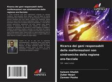 Borítókép a  Ricerca dei geni responsabili delle malformazioni non sindromiche della regione oro-facciale - hoz