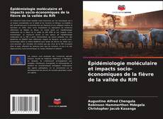 Copertina di Épidémiologie moléculaire et impacts socio-économiques de la fièvre de la vallée du Rift