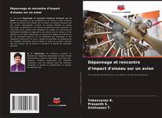 Copertina di Dépannage et rencontre d'impact d'oiseau sur un avion