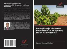 Copertina di Identyfikacja obszarów odpowiednich do uprawy roślin na biopaliwa