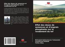 Copertina di Effet des doses de semences et d'engrais phosphatés sur le rendement du tef