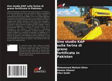 Copertina di Uno studio KAP sulla farina di grano fortificata in Pakistan