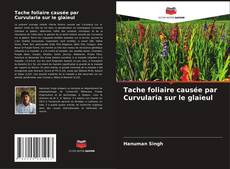 Bookcover of Tache foliaire causée par Curvularia sur le glaïeul