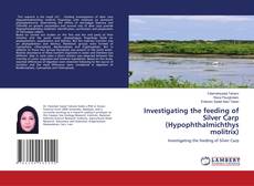Buchcover von Investigating the feeding of Silver Carp (Hypophthalmichthys molitrix)