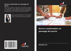 Ricerca multimodale sui paesaggi dei parchi kitap kapağı