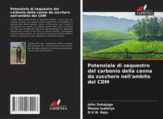 Couverture de Potenziale di sequestro del carbonio della canna da zucchero nell'ambito del CDM