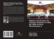 Buchcover von Métaux lourds dans les cheveux humains à l'aide de l'AAS et de la fluorescence X