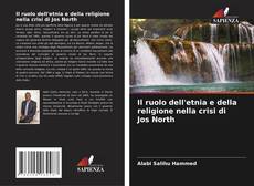Copertina di Il ruolo dell'etnia e della religione nella crisi di Jos North