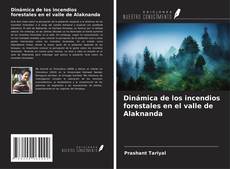 Buchcover von Dinámica de los incendios forestales en el valle de Alaknanda