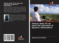 Borítókép a  Utilizzo delle TIC da parte dei coltivatori di igname a Boluwaduro - hoz
