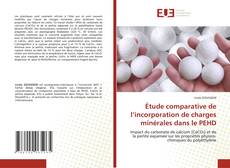 Copertina di Étude comparative de l’incorporation de charges minérales dans le PEHD