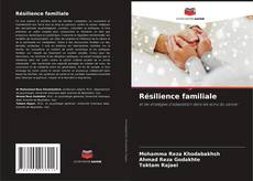 Copertina di Résilience familiale