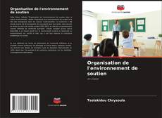 Borítókép a  Organisation de l'environnement de soutien - hoz