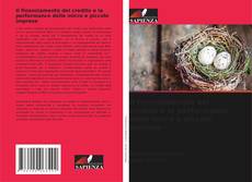 Buchcover von Il finanziamento del credito e la performance delle micro e piccole imprese