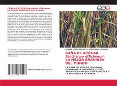 Borítókép a  CAÑA DE AZÚCAR Saccharum officinarum LA MEJOR GRÁMINEA DEL MUNDO - hoz