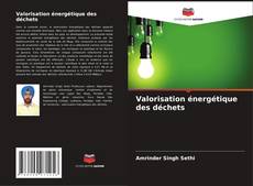 Couverture de Valorisation énergétique des déchets