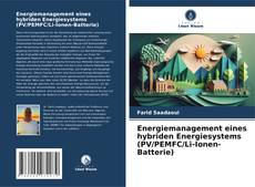Copertina di Energiemanagement eines hybriden Energiesystems (PV/PEMFC/Li-Ionen-Batterie)