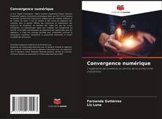 Couverture de Convergence numérique