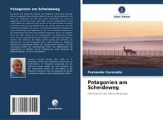 Buchcover von Patagonien am Scheideweg