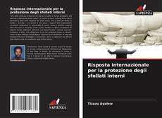 Risposta internazionale per la protezione degli sfollati interni kitap kapağı