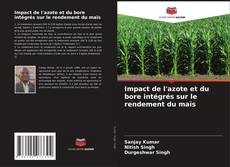 Copertina di Impact de l'azote et du bore intégrés sur le rendement du maïs