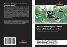 Обложка Environmental agenda of the state of Chihuahua, Mexico