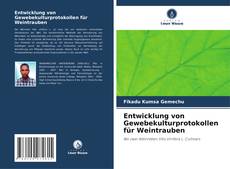 Copertina di Entwicklung von Gewebekulturprotokollen für Weintrauben