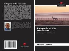 Обложка Patagonia at the crossroads