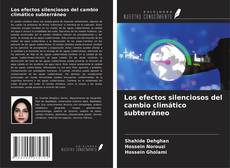 Couverture de Los efectos silenciosos del cambio climático subterráneo