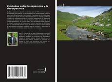 Bookcover of Zimbabue entre la esperanza y la desesperanza