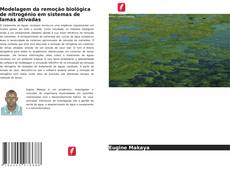 Modelagem da remoção biológica de nitrogénio em sistemas de lamas ativadas kitap kapağı