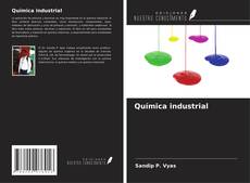 Couverture de Química industrial