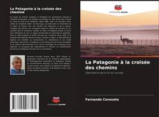Bookcover of La Patagonie à la croisée des chemins