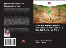 Copertina di Effet du lombricompost sur Spinacia oleracea L. à Bundelkhand, en Inde