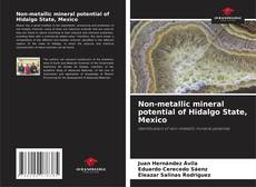Non-metallic mineral potential of Hidalgo State, Mexico的封面