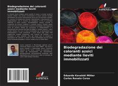 Copertina di Biodegradazione dei coloranti azoici mediante lieviti immobilizzati