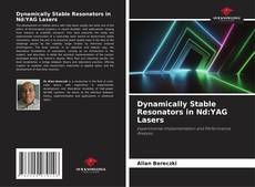 Copertina di Dynamically Stable Resonators in Nd:YAG Lasers