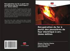 Copertina di Récupération du fer à partir des poussières de four électrique à arc. 2ème édition