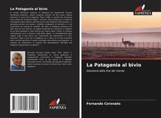 Borítókép a  La Patagonia al bivio - hoz