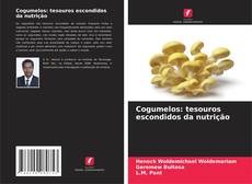Copertina di Cogumelos: tesouros escondidos da nutrição
