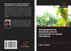 Copertina di Zaangażowanie doświadczonych nauczycieli w rozwój zawodowy